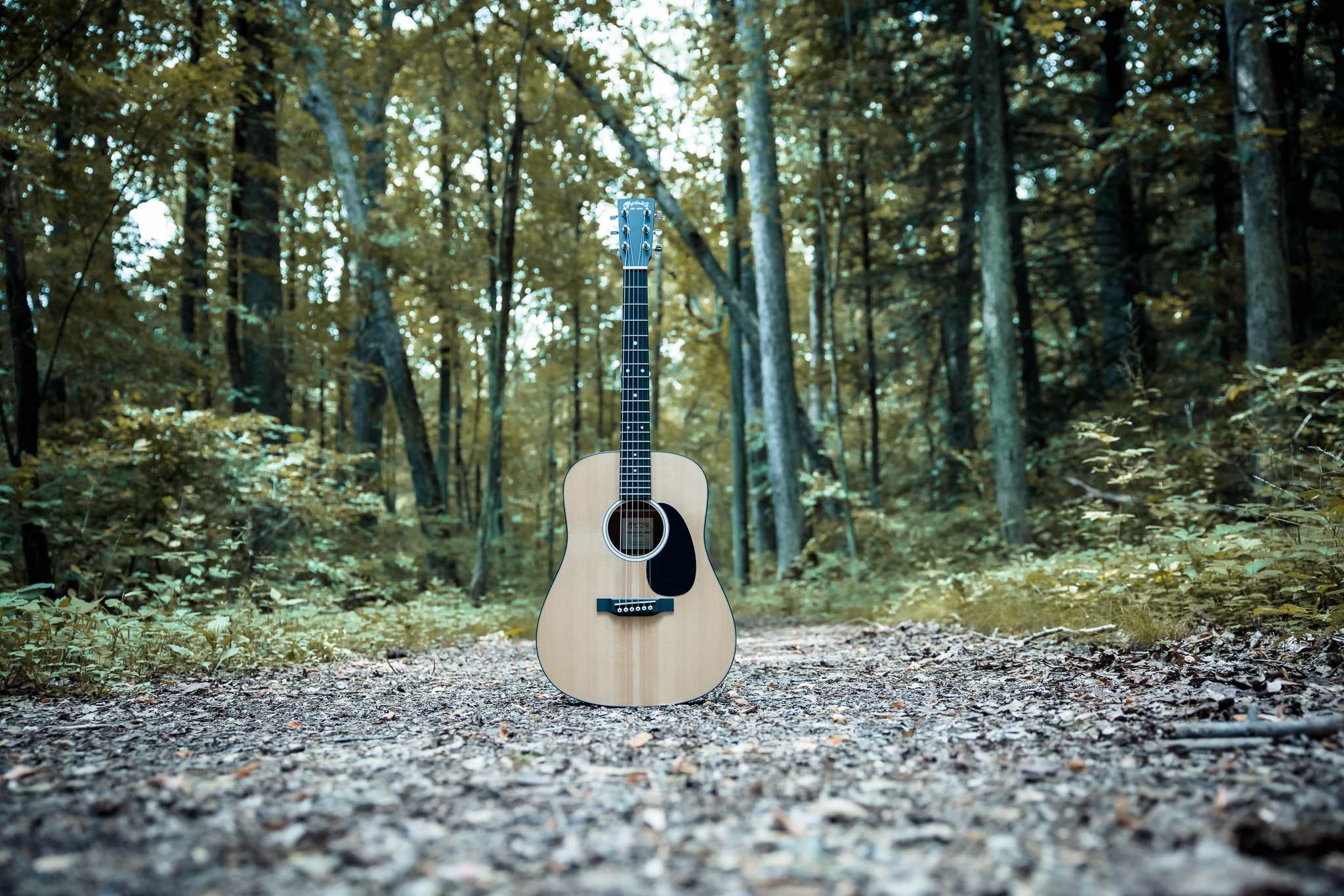 Guitarra acústica Martin DJr-10 en el bosque.